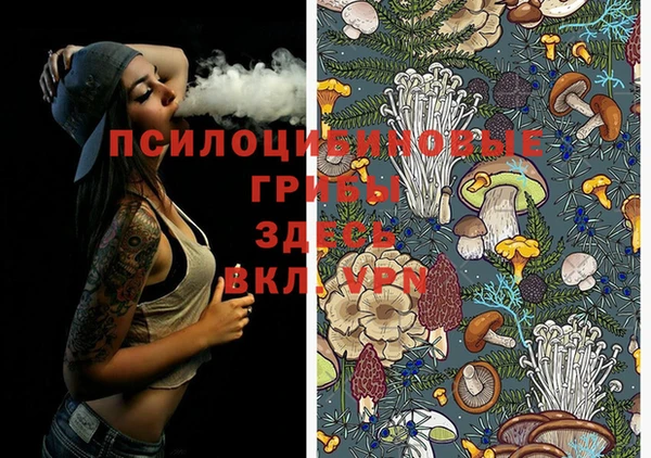 ПСИЛОЦИБИНОВЫЕ ГРИБЫ Лагань