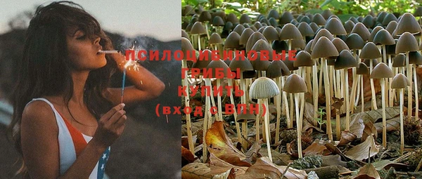 бошки Лабытнанги