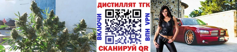 сколько стоит  Александровск  Дистиллят ТГК вейп 